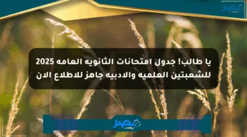 يا طالب! جدول امتحانات الثانوية العامة 2025 للشعبتين العلمية والأدبية جاهز للاطلاع الآن